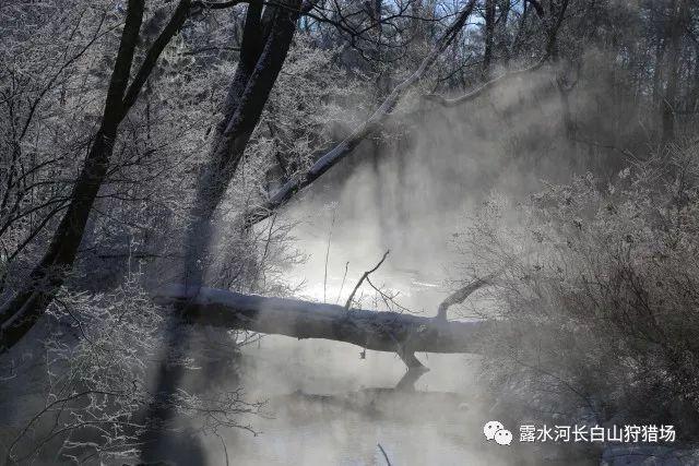 老妇人营救